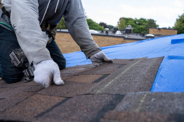 Best Roof Gutter Cleaning  in Coshocton, OH